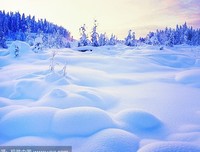 有关青芜乱雪的句子