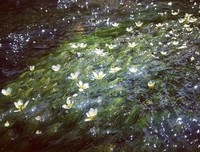 《水性杨花》观后感精选