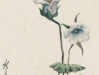 有关人生的季节的句子