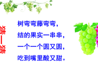 关于五光的语句