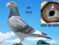 15条关于克拉克·麦克斯的经典语句