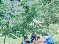 孩子在这几天里忽然长大了。