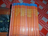 《蝴蝶梦》观后感精选