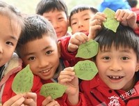 《生活多美好》经典观后感有感