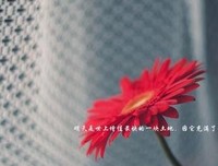 关于倪年象的座右铭