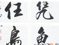 努天的名人名言