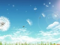选集2的句子