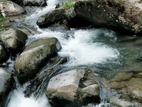 四季，三餐，都随你读后感摘抄