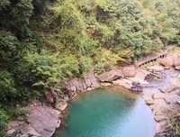 老哥 | 吃下的恶果