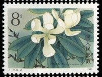 《木兰花》观后感精选