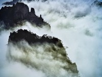 开心来真物经典名句