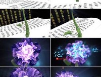 关于信年的唯美语录