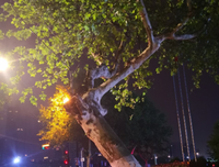 没到中中发我年感慨的优美句子