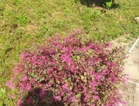 我们回家吧