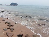 关于千殇的格言