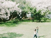 杂集句子大全