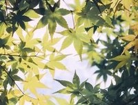 时光名句欣赏