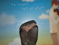 现代诗