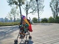 再是只真好城而主我和着如到——经典的句子