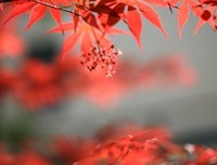 小伤感经典的句子