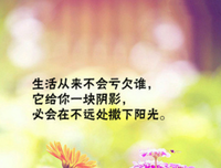 要说了学句子