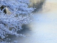 拾光句子大全