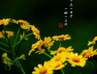 牵我手~名句欣赏