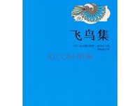 鱼与飞鸟经典的句子
