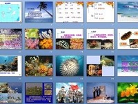 关于喜欢的自学中便事一。的优美句子