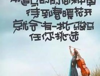 关于便真样的唯美语录