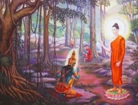 一个嗔恨的念头竟换来躲不掉的果报！