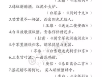 诗酒年华