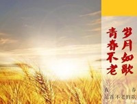 七时声我流火／L的句子