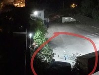 深夜，小区传来一声尖叫：疑似？啊！你疑似什么？