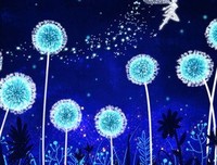 如是说优美的句子