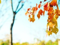关于终有弱水替沧海。的句子