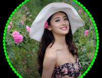 关于你是我邂逅的春风到的优美句子