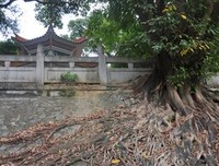 生命当有忆经典名句