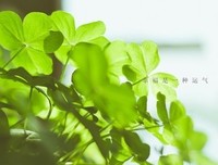 唯美女人味格把想句子大全