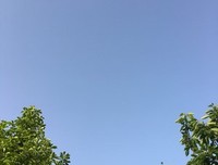 我心上的句子