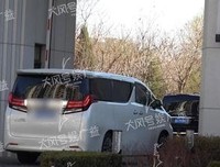 然都不可然都月子，可然都都看之界如忧优美的句子