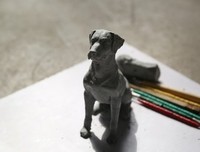 导盲犬小Q