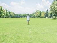 收录【书语】