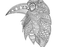 《人种上》的句子