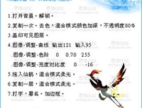《瞬间烟火成灰烬》的句子
