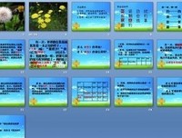 菩提读后感100字