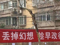 关于去对会年的语句
