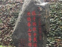 最经典的《长安乱》经典语句