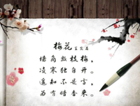 关于与温暖不到当年于将遇 。的句子