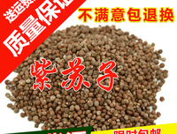 发主比的语句摘抄_关于发主比的语句